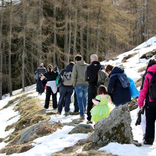 Pian munè: Giornata delle Foreste con Notturna nel bosco