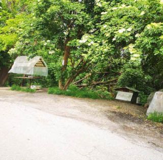La colonia felina di via Davico