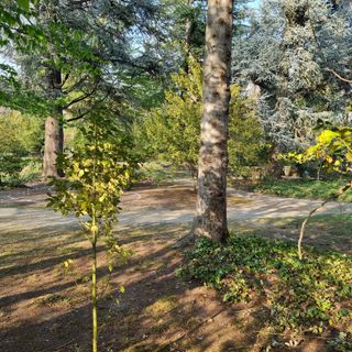 Il Parco di Villa Prever a Pinerolo