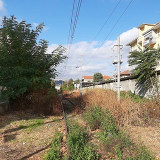 Ferrovia Pinerolo-Torre Pellice