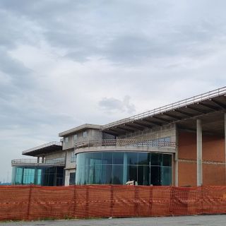 Il ‘Pipistrello’