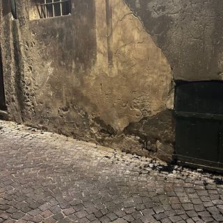Gli scarafaggi in via del Pino