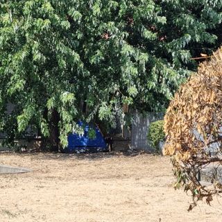 La tenda nel giardino di via Cravero