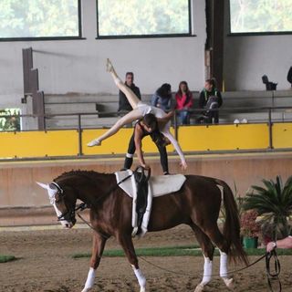 A Pinerolo un corso di volteggio equestre inclusivo gratis per i figli di famiglie in difficoltà