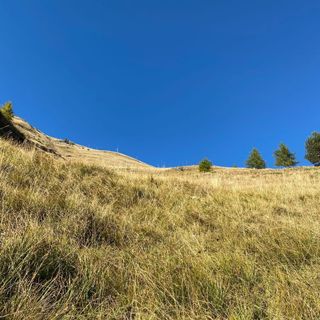 Il luogo della caduta