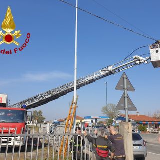 Vigili del fuoco palo pericolante