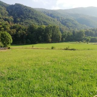 In Val Pellice una pista tutta nuova per mucche e ciclisti