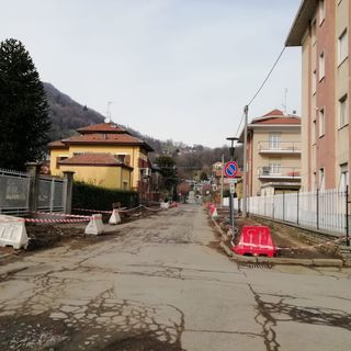 Viale della Rimembranza piante tagliate
