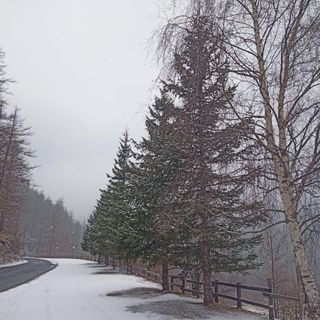 La neve torna a scendere nelle vallate del Pinerolese [VIDEO]
