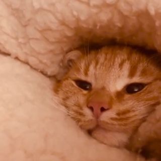 Nato in primavera durante il lockdown, torna il ‘Coll-Age 19’ di Sonador Nato in primavera durante il lockdown, torna il ‘Coll-Age 19’ di Sonador