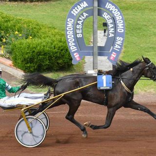 Blackflash Bar in un'immagine di repertorio