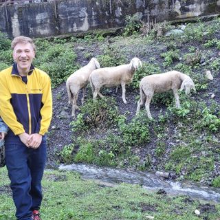 Raffaella e Tommaso e le loro pecore