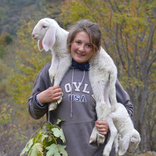 A Usseglio l'antico rito della &quot;Dèsarpa&quot;: festa delle mandrie al rientro dall'alpeggio estivo