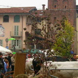 La 31esima Sagra d’Autunno a Piasco entra nel vivo da giovedì 10 e regala emozioni fino al 15 ottobre