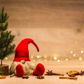 A Venaria il Bergamotto si veste dei colori del Natale