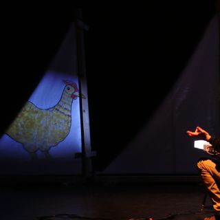 L'evoluzione secondo Darwin in scena a Rivoli: un viaggio sul &quot;Beagle&quot; a 210 anni dalla nascita