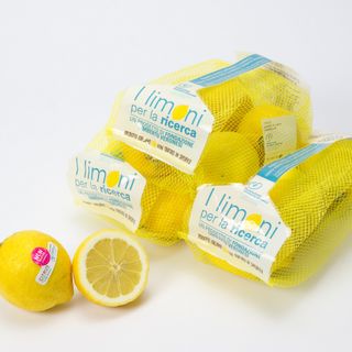 Anche a Torino “I Limoni per la Ricerca”