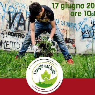 Aurora, torna “I luoghi del bello” per pulire il giardino di corso Vercelli a Torino
