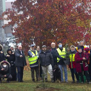Collegno, cinquanta alberi piantati grazie al progetto &quot;Adotta un albero in Comune&quot;