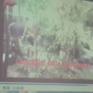 Sfruttavano prostitute e coi guadagni coltivavano marijuana: 10 arrestati