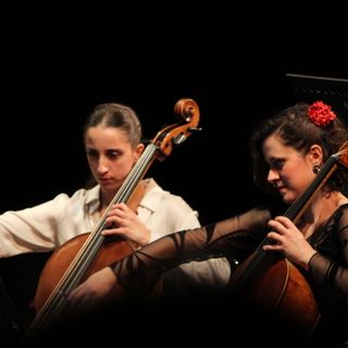 Orchestra Filarmonica in concerto con &quot;Il ballo del colonnello elefante&quot;
