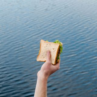 Gite ed escursioni: come preparare il pranzo al sacco