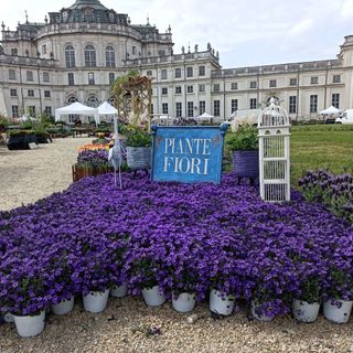La Palazzina di Stupinigi diventa la 'residenza del green' con Anteprima Floreal
