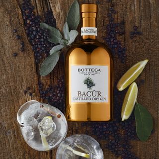 Il cocktail Martini oggi con il Gin di Bottega