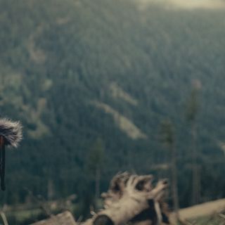 Il Codice del bosco: il docu-film di Alessandro Bernard e Paolo Ceretto in prima visione a Torino