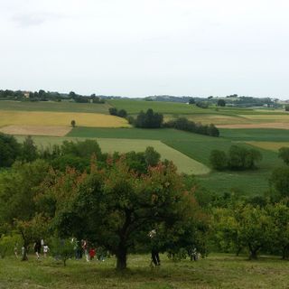 “A piccoli passi”: escursione immersiva per bambini alla scoperta delle colline chieresi