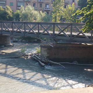 Tronchi sotto la passerella de Carbone, ma il Comune rassicura: &quot;Non ci sono elementi di criticità&quot;