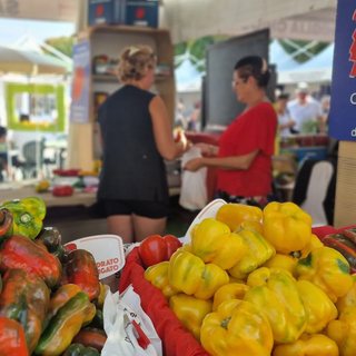 Torna la Fiera Nazionale del Peperone di Carmagnola Torna la Fiera Nazionale del Peperone di Carmagnola