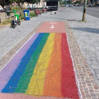 Ciclabile arcobaleno, polemica a Torino: “Serve autorizzazione?”