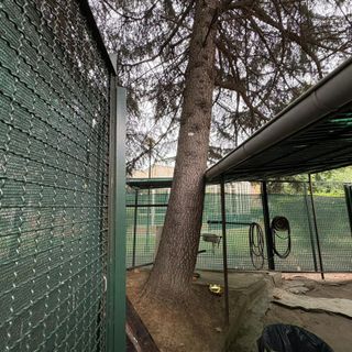 L'albero appoggiato sul centro d'incontro