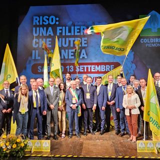 L’incontro “Riso: una filiera che nutre il pianeta”, organizzato da Coldiretti Piemonte L’incontro “Riso: una filiera che nutre il pianeta”, organizzato da Coldiretti Piemonte