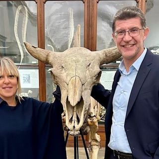 Agosto da record per il Museo di Scienze Naturali: 46 mila gli ingressi con il ticket gratuito Agosto da record per il Museo di Scienze Naturali: 46 mila gli ingressi con il ticket gratuito