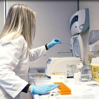 Foto generica d'archivio