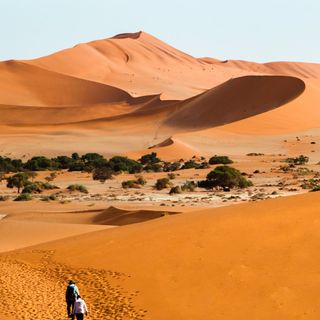 Viaggi Avventura 2025: I 10 Tour Operator Europei Più Apprezzati dagli Amanti dell'Esplorazione