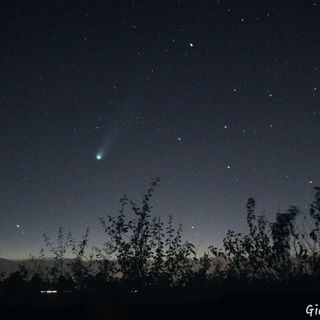 La cometa C/2025 A6 Lemmon (foto di Gianluca Abieri)