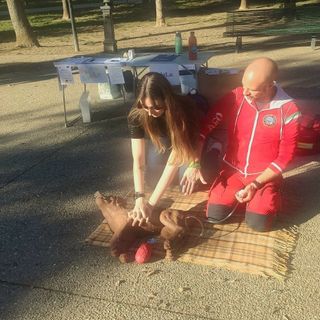 A Moncalieri al via il corso di assistenza primaria per animali