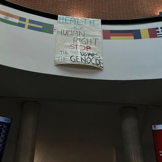 I futuri medici del San Luigi: "L'Università condanni genocidio in Palestina"