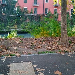 La staccionata scomparsa lungo la Dora