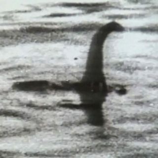 Il mostro di Lock Ness nell'immaginario collettivo