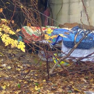 L'uomo si trova nel giardino Salerno