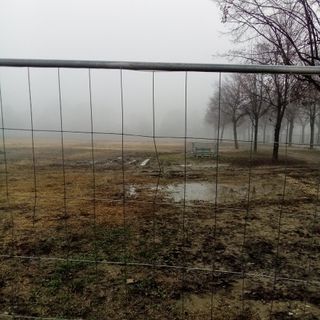 Un lettore segnala le condizioni del prato di piazza d'Armi dopo le Atp Finals