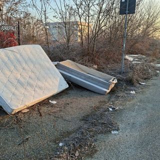 La scoperta fatta dai carabinieri della Forestale