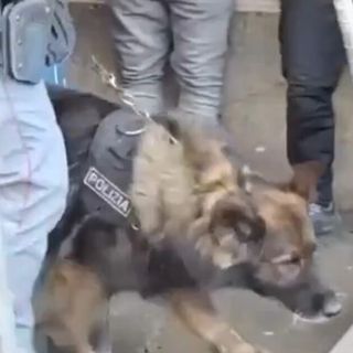 Sicurezza in città, blitz ad alto impatto della Polizia di Stato