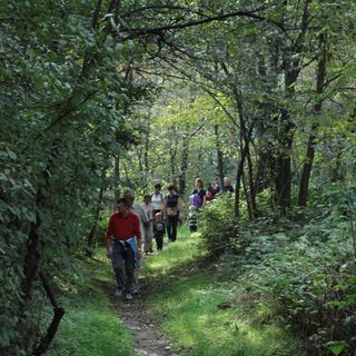 Il 25 aprile durante il MangiaMaira di Vottingnasco si potrà scoprire l’incantevole Bosco delle Fiabe
