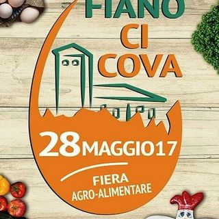 Con “Fiano ci cova” si va alla scoperta del mondo delle uova