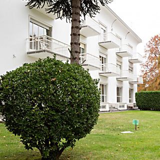 Il ritardo dello sviluppo del linguaggio del bambino